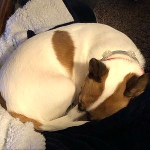 Meet your Posher, Jayne